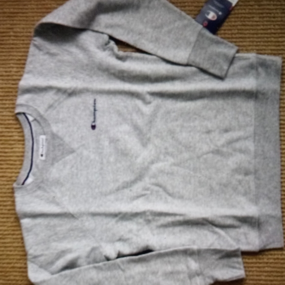 NWT CHAMPION POWERBLEND CLASSIC AUTHENTIC ATHLETIC WEAR GRAY SIZE LARGE GF567 - Picture 2 of 7